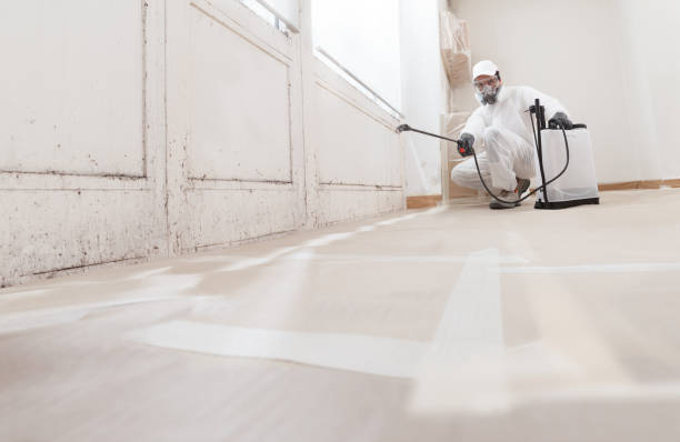 24/7 Emergency Mold Remediation experts in Union City, TN